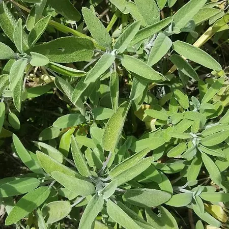 Rifugio Valentina بيت للعطل *