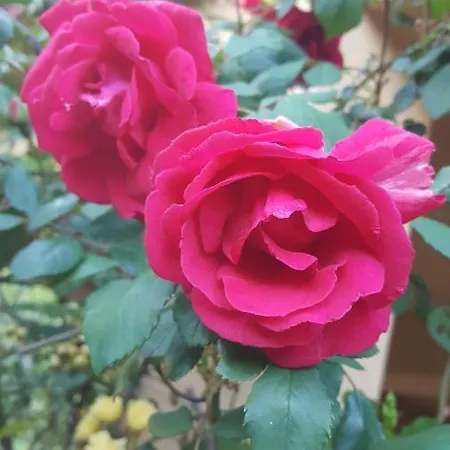 Rifugio Valentina بيت للعطل